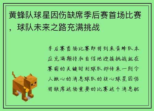 黄蜂队球星因伤缺席季后赛首场比赛，球队未来之路充满挑战